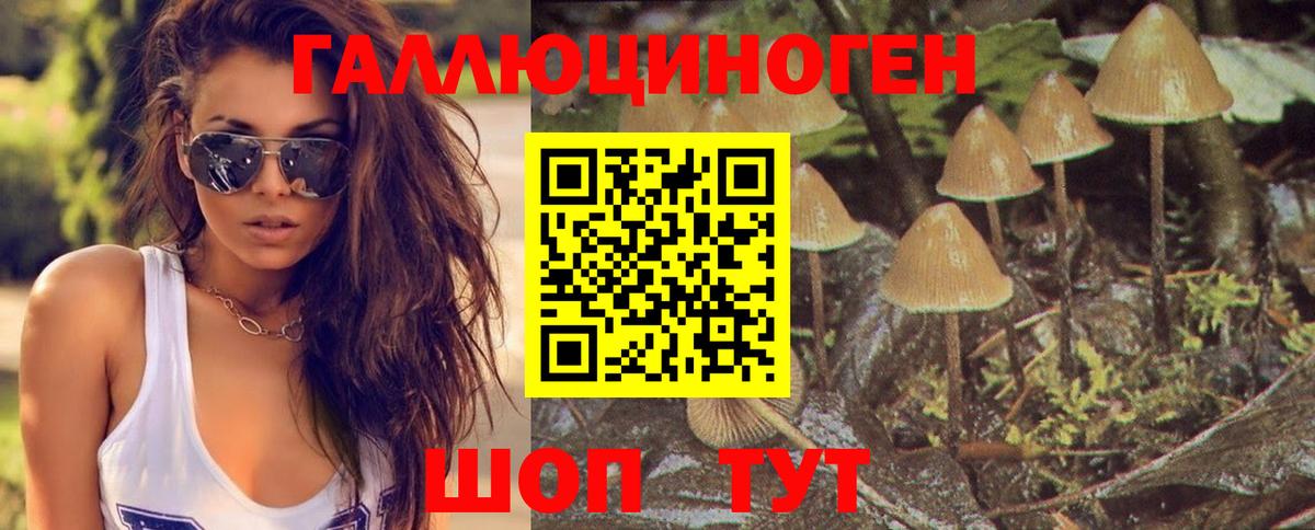 Черняховск  Галлюциногенные грибы мицелий  Вход с VPN  Псилоцибиновые грибы Cubensis 